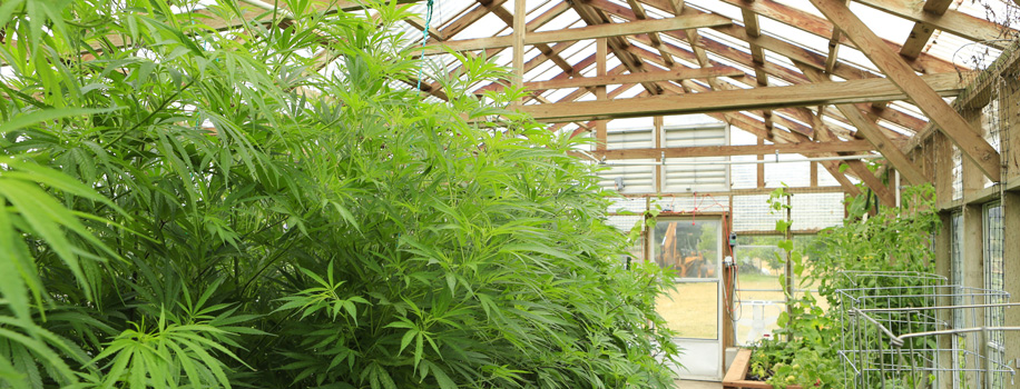 Security Solutions for Apartments in Kansas City,  MO